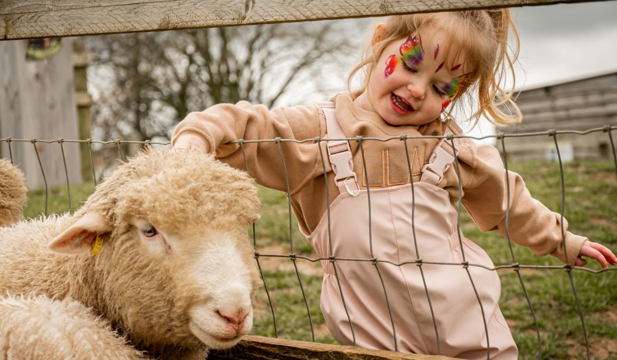 Lambing and Easter Fun at Cotswold Farm Park